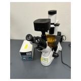 AmScope Inverted Fluorescence Microscope