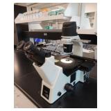 Laxco LMI6-PH24 Microscope