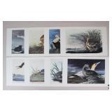 John J. Audubon Prints-1966 / 8 Pc