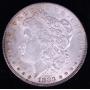 1883 Morgan Silver Dollar (XF? light toning)