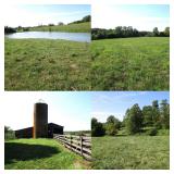 134 Acre Woodford County Farm