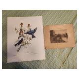 "Eastern Bluebird" Lithograph by Edward D. Williams 20"x16" and "Calling the Ferryman" Print by Ridgway Knight 14"x11"