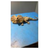 Dragon lizard