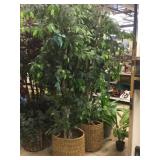 Row of faux plants. 2 trees approx 6.5ft with