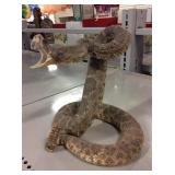 Genuine Rattlesnake Taxidermy Approx 8 Inches Tall