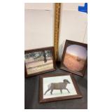 Wildlife framed  photos