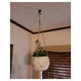 HANGING SUCCULENT BASKET