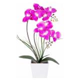 Homeseasons LED Orchid Pot Lamp