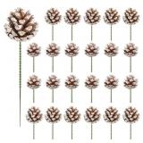 24 PCS Pine Cones Picks, 2 Sizes