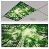 Patelai 4 x 2 Feet Fluorescent Light Cover