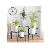 5-Pack Metal Plant Stands