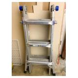 Werner Folding Ladder