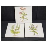 3 Morena Ceramic Botanical Herbs Tiles