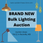 Brand New Bulk Lighting Auction