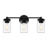 Ashley 3-Bulb Bath Vanity Light in Black