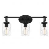 Ashley 3-Bulb Vanity Light in Black