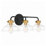 Ashley 3-Bulb Vanity Light in Black