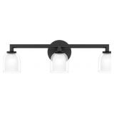 Ashley 3-Bulb Vanity Light in Black x 2