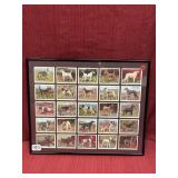 Framed Tabasco Cards of Dogs