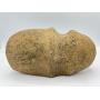 Native American Artifact Online Auction