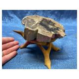 Petrified Wood Slice w/ Wood Stand