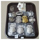 Tray Lot of Metal Badges, Arrowhead Costume