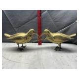 Pair of brass kiwis