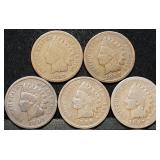 5 Nice Indian Head Cents from Estate