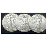 (3) 2023 Silver Eagles BU