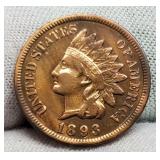 1893 Indian Head Cent XF "Liberty"