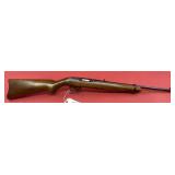 Ruger 10/22 .22 LR Rifle