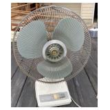 16" Oscillating Fan