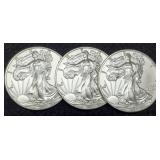 (3) 2021 T1 Silver Eagles BU