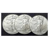 (3) 2021 T2 Silver Eagles BU