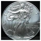 2019 1oz Silver Eagle Gem BU