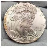 2009 Silver Eagle