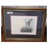 FRAMED OSPREY PRINT