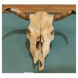 CATTLE SKULL