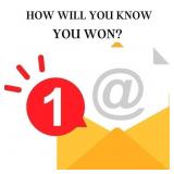 BIDDING INSTRUCTIONS: HOW WILL YOU KNOW YOU WON?