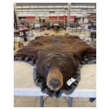 BROWN BEAR RUG