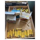 50RDS - 20GA MIXED AMMO