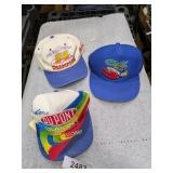 (3) Jeff Gordon Hats