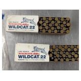 2 Full Box Winchester Wildcat 22LR, 100 Rounds