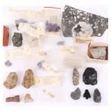 ANCIENT ASSORTED FOSSILIZED ANIMAL/PLANTS - (18)