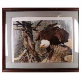 CARL BRENDERS BALD EAGLE PHOTOGRAPH - FRAMED