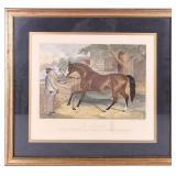 ANTIQUE JOE LOVELL A THOROUGHBRED STALLION PRINT