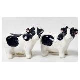 Salt & Pepper Shaker Set