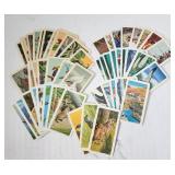 Red Roes Tea Cards - Various (52x)