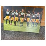 Packers canvas