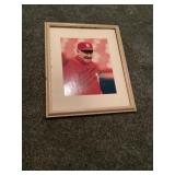 St Louis Cardinals Signed Photo